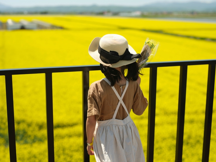 店舗の屋上には展望台を設けており、菜の花畑を一望できます。