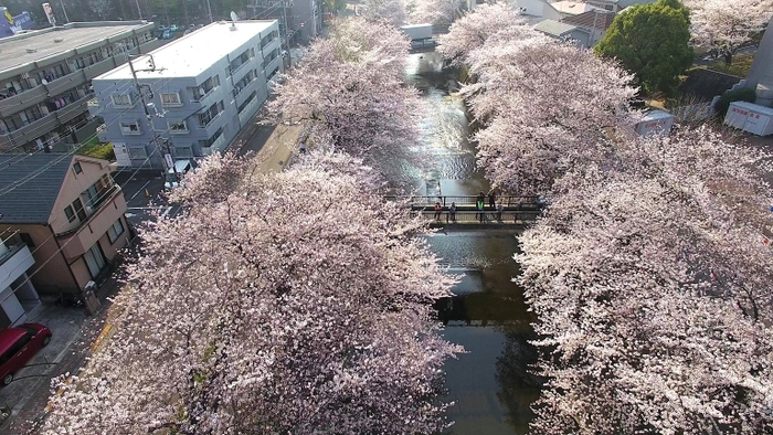 恩田川