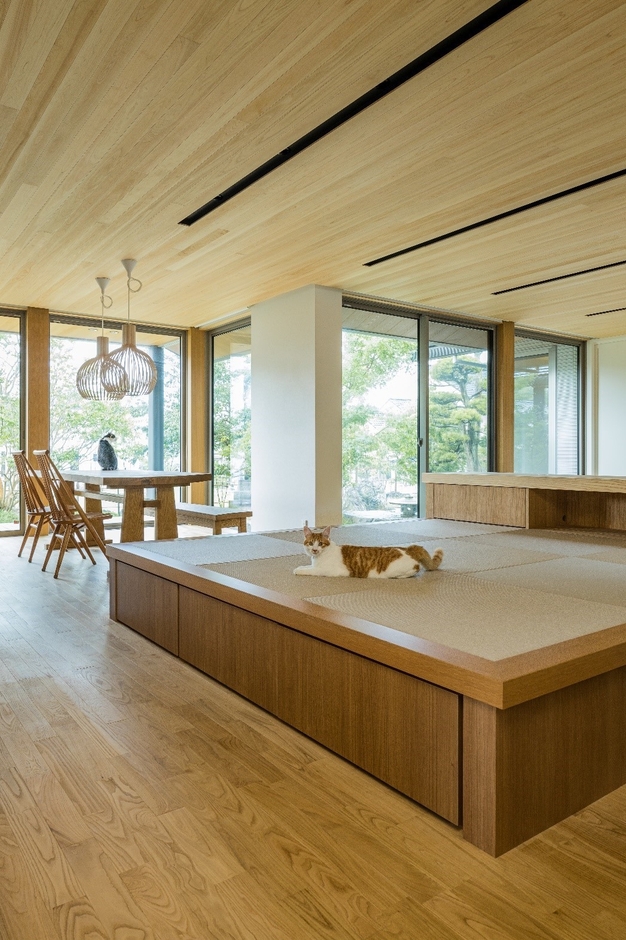 それぞれのお気に入りの場所でくつろぐ愛猫たち