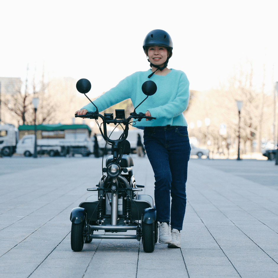 ELEMOs4 REBORNイメージ(2)