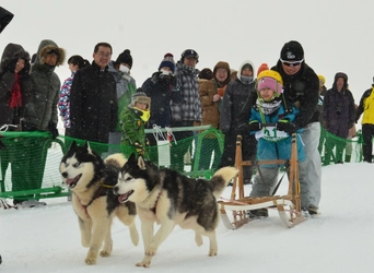 日本最北稚内で犬たちの甲子園開催！！ 第36回全国犬ぞり稚内大会を2月23日(土)～24日(日)に開催