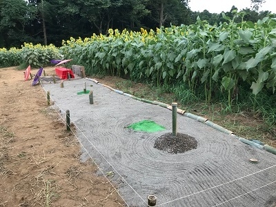 スタッフ手作り枯山水登場!