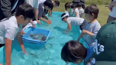 虹だんらん食堂in篠島 イメージ2