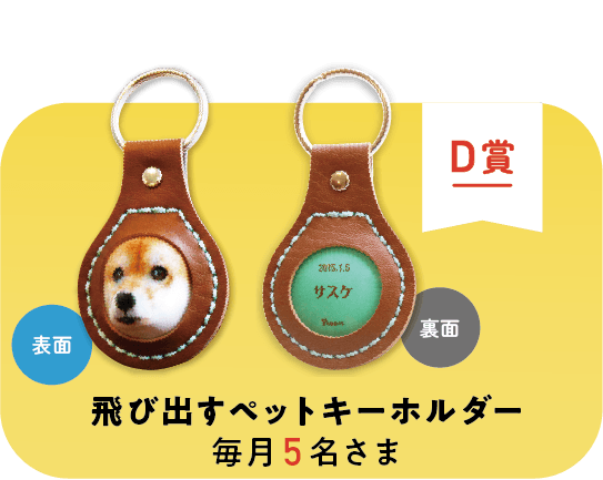 D賞 飛び出すペットキーホルダー