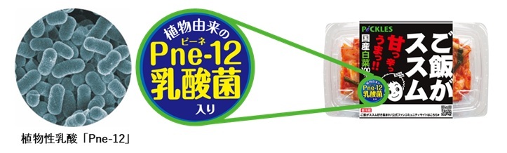 当社独自の植物性乳酸菌