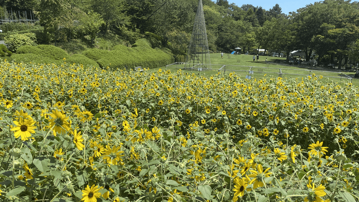 広島市植物公園