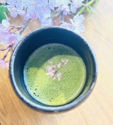 桜緑茶