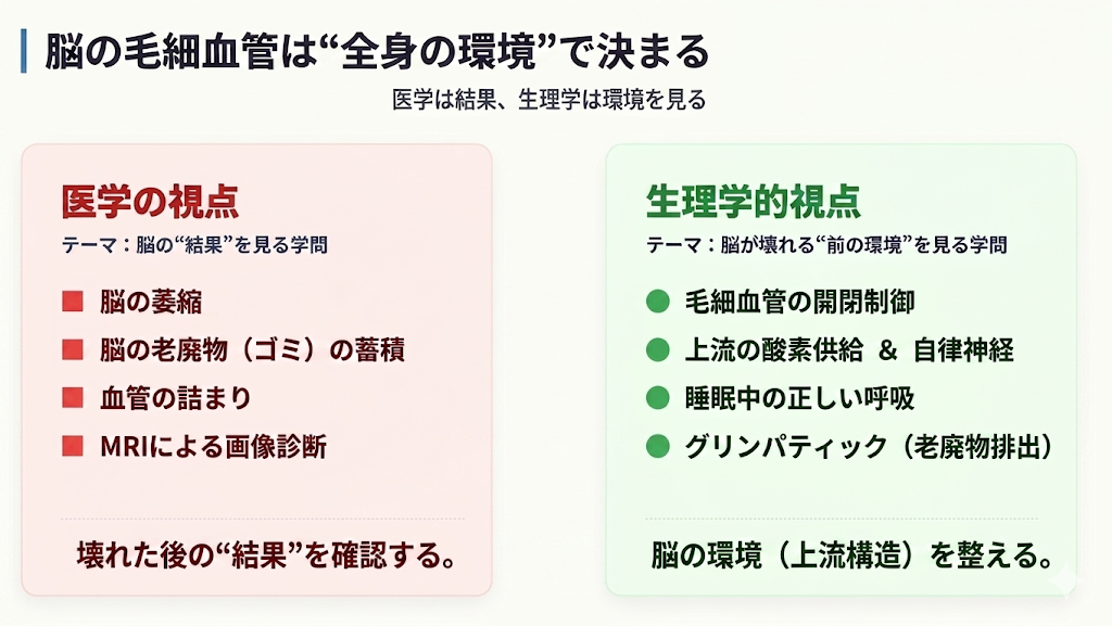 ?脳の毛細血管──なぜ現代人は毛細血管機能が低下しやすいのか【認知症第2回】