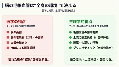 🟥脳の毛細血管──なぜ現代人は毛細血管機能が低下しやすいのか【認知症第2回】