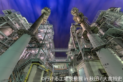 展示作品1