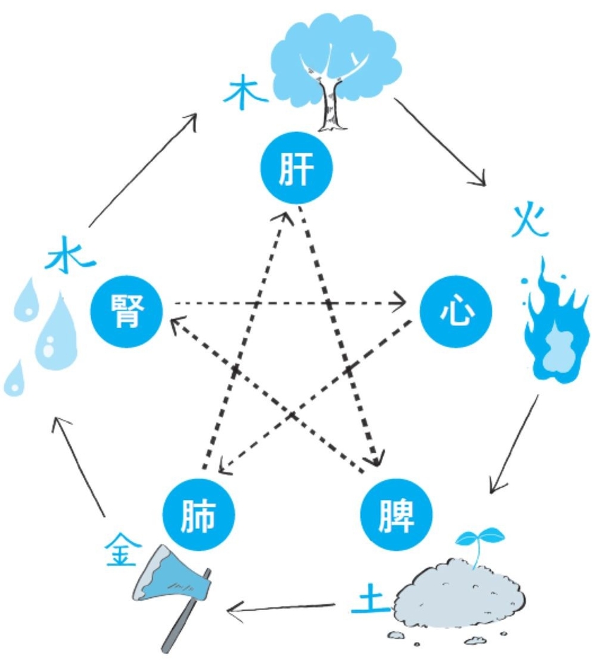 漢方における「五行」と「五臓」の関係性