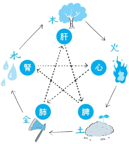 漢方における「五行」と「五臓」の関係性