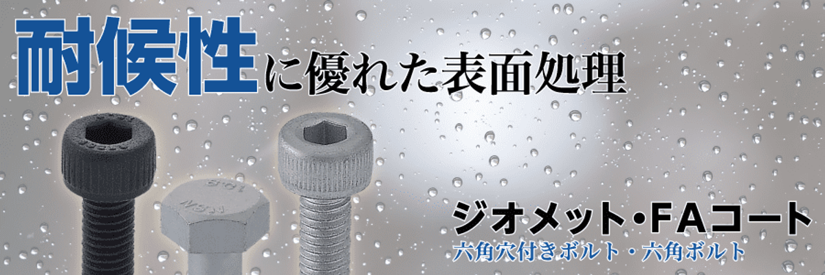 対候性に優れた表面処理「ジオメット・FAコート 六角穴付きボルト/六角