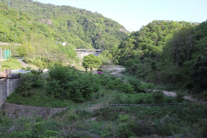 ビオトープ全景