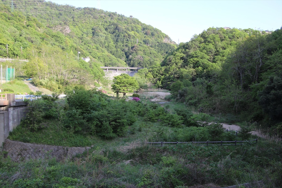 ビオトープ全景