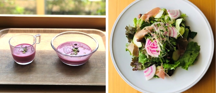近大野菜のビーツを使用した冷製ビシソワーズ(左)、近大野菜のビーツと生ハムのレモンサラダ(右)