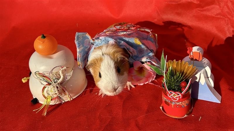 ▲昨年の『冬のどうぶつえんまつり』