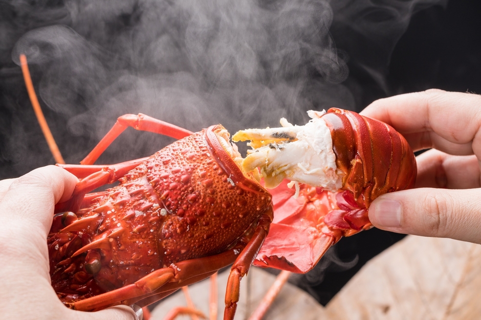 伊勢海老会席(3)(休暇村南伊豆)