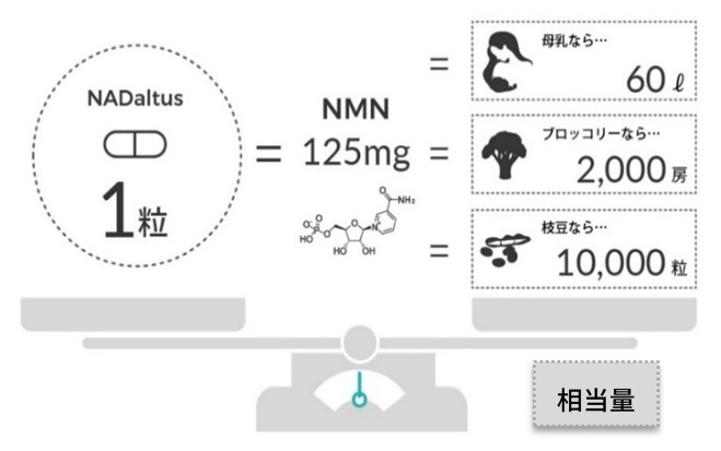 NADaltus1粒に含まれるNMNの換算相当量