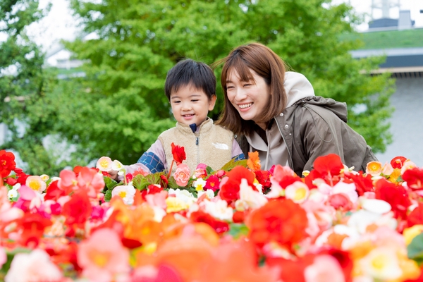 特設花壇（イメージ）