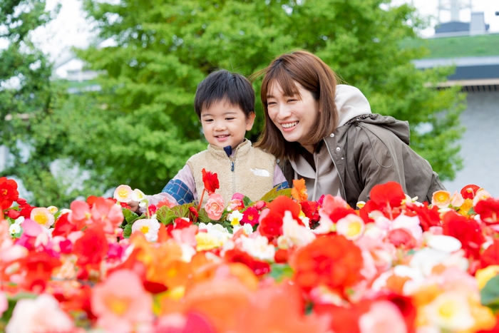 特設花壇(イメージ)