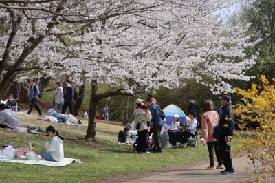 広場