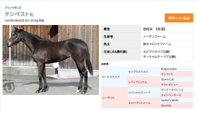 「馬トク」サイトで２歳馬の馬体写真を公開！ POGプリントはコンビニマルチコピー機で発売中【スポーツ報知】