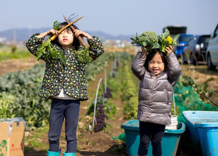 体験農園-Shitekobe Sustainable Farm-_ソレイユの丘