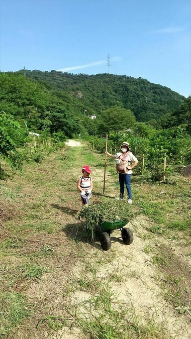 家族でボランティア活動2