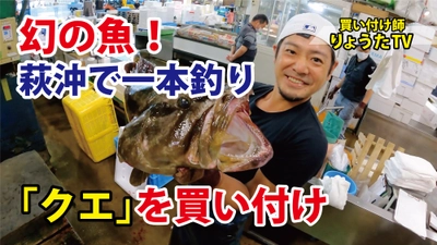 【滅多に見られない！】超美味しい幻の高級魚『クエ』の仕入れ★旨味を引き出す締めとは…！≪お取り寄せグルメの“買い付け師”≫が市場の内側☆YOUTUBE大公開♪