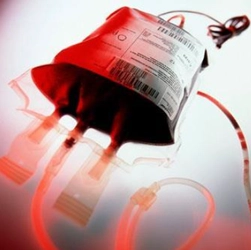 人工血液代替物レポート：最新動向と今後5年間の市場成長予測2026-2032