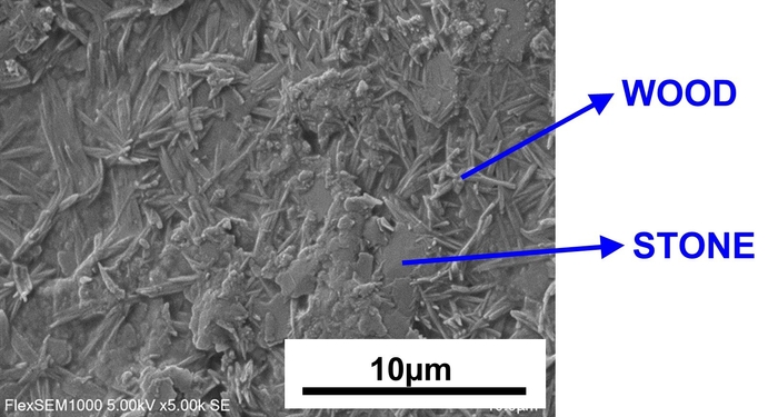 100%天然バイオマス系生分解性熱可塑性材料の電子顕微鏡写真