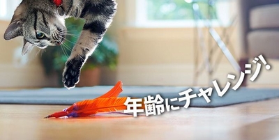 いつまでもアクティブに!年齢にチャレンジ