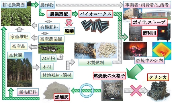 持続可能な地域産業振興と資源循環型・ゼロカーボン社会の実現を目指す「循環型農林地域圏構想」