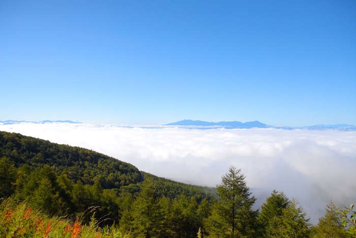 【標高2&#44;000ｍの高原】高峰高原