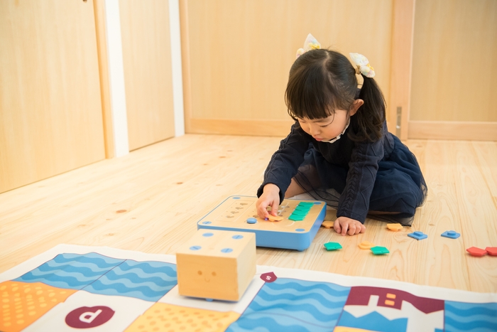 プログラミング教育の実施