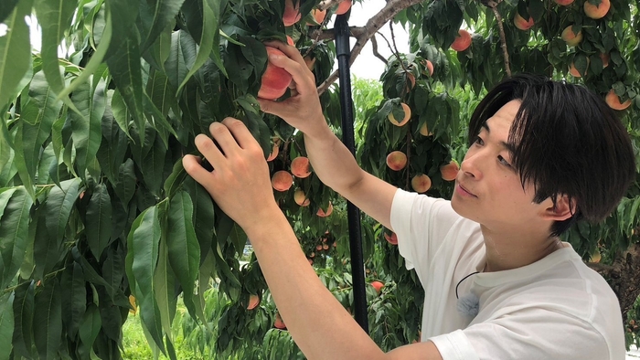 FANTASTICS畑 全員集合!福島夏野菜スペシャル 場面写真(15)