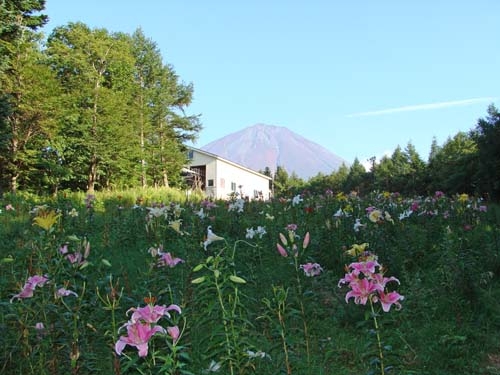 リリーパーク山頂の様子