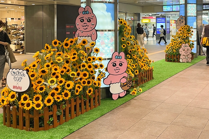 「おぱんちゅうさぎとひまわり畑～夏の思い出～」花装飾_03_日比谷花壇