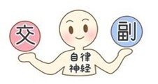 自律神経