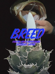 静岡最大級の釣りと植物のイベント“BREED 2024”を 10/26に開催　釣り人向けのグッズと多様な植物が出品