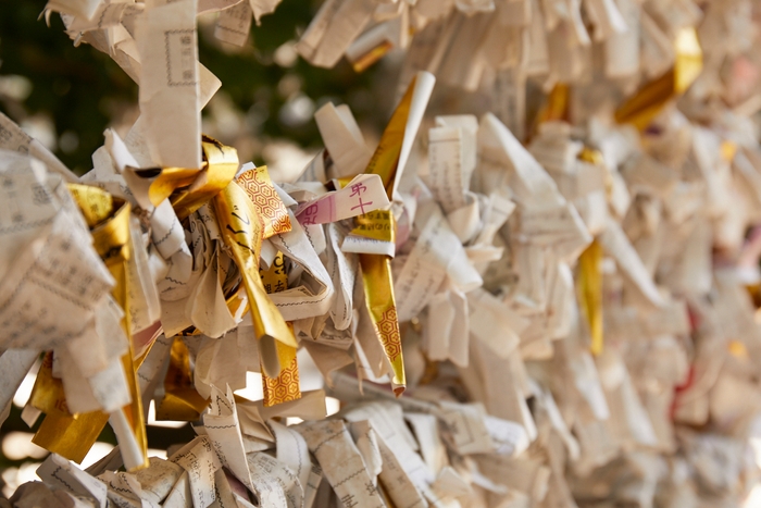 【OMO5 東京大塚】そばこん OMOレンジャー風景(神社)