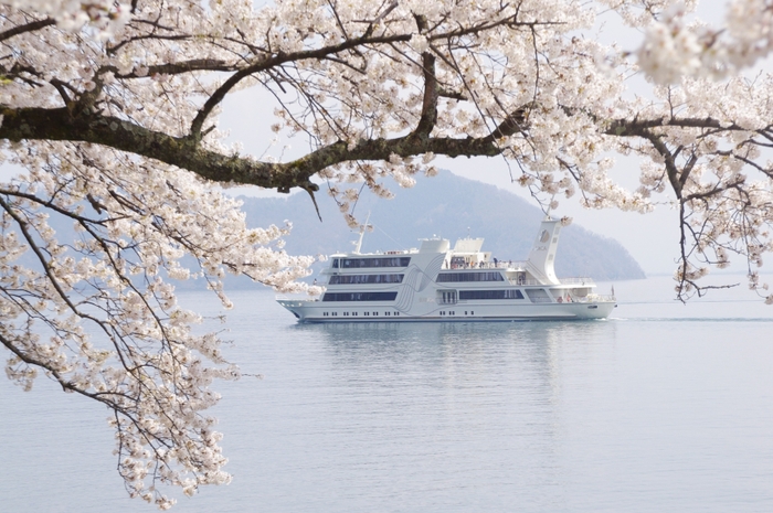 客船ビアンカ（旅客定員540名）