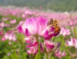 夏休み最後の思い出づくりを里山で過ごしませんか？