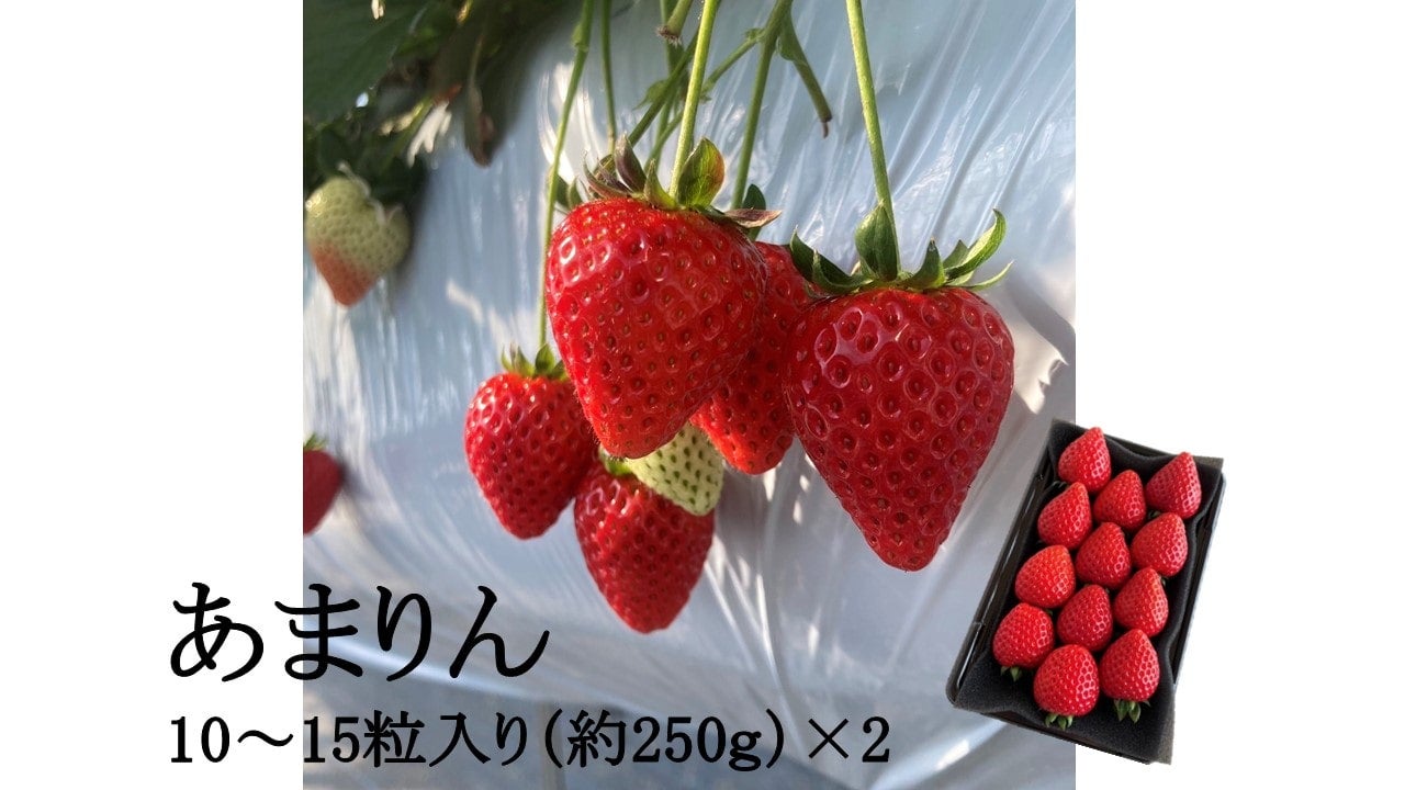 産地直送通販サイト「JAタウン」で「いちごフェア」を開催