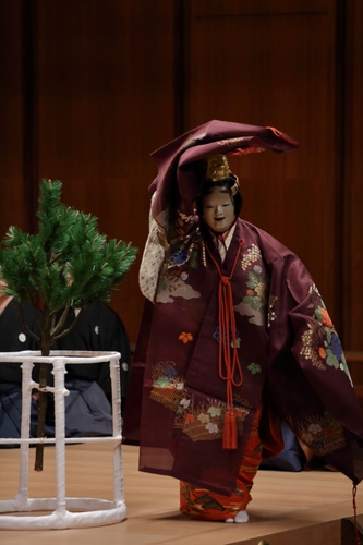 撮影　石田裕
