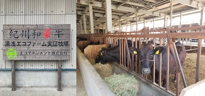 近畿大学生物理工学部の学生が地域循環型食料生産の現場を訪問　和歌山県産みかんを軸にしたSDGsに繋がる取り組みを見学