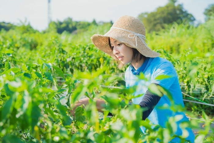 日本農業実践学園 実習風景2