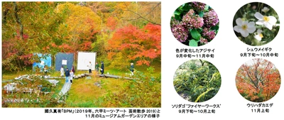 六甲オルゴールミュージアム 六甲ミーツ・アート 芸術散歩2020 ミュージアムガーデンで楽しむ芸術の秋 ～昼と夜の秋の庭で紅葉と現代アートを楽しむ～