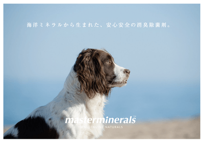 イメージ画